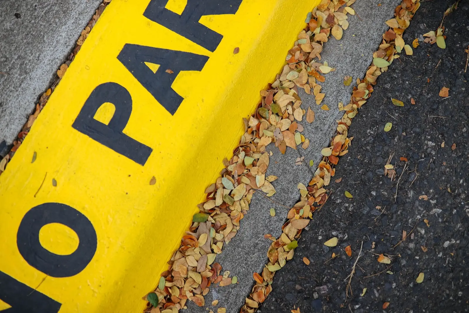 Curb painted bright yellow with black NO PARKING lettering, fallen leaves in the gutter and asphalt beside it